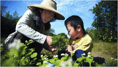 台湾“秀明自然农法”实践者的台北农夫生活